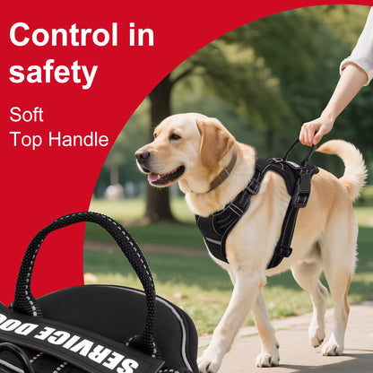 Y-Shape Personalised Harness