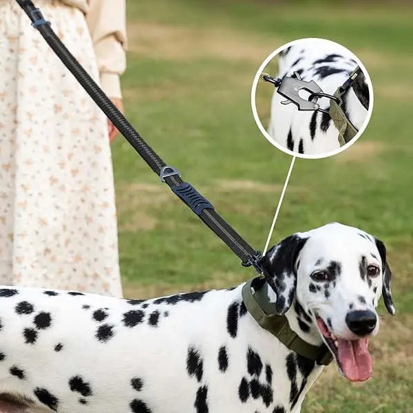 4-in-1 Dog Leash with Car Seat Belt