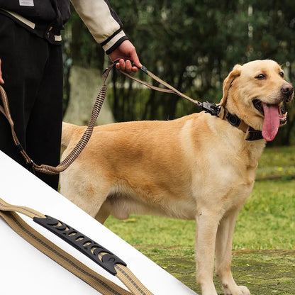 4-in-1 Dog Leash with Car Seat Belt
