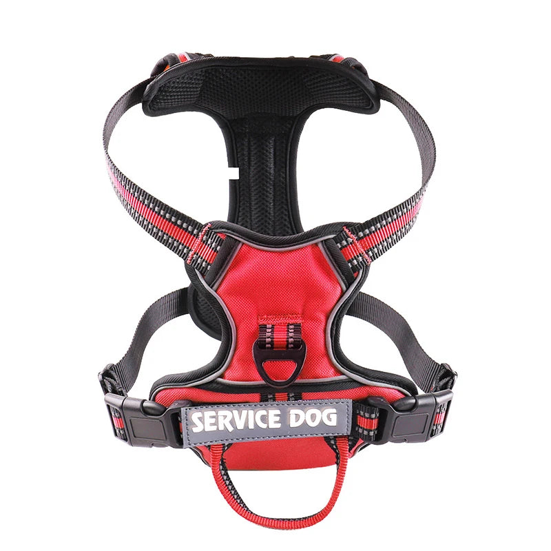 Y-Shape Personalised Harness