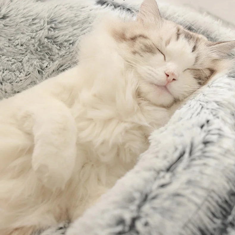 CoziNest