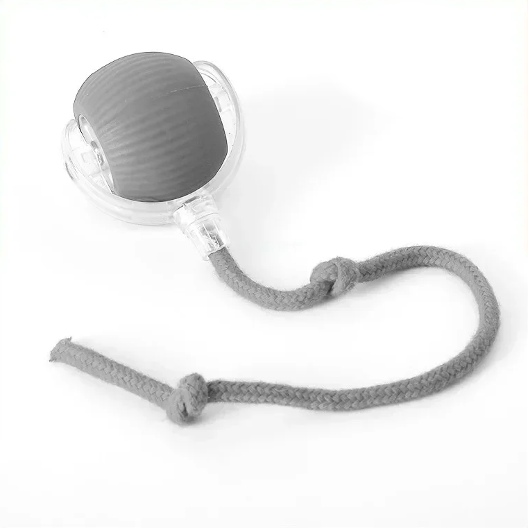 ChaseBuddy Smart Ball