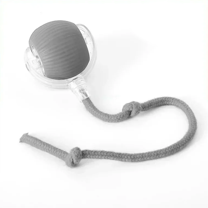 ChaseBuddy Smart Ball
