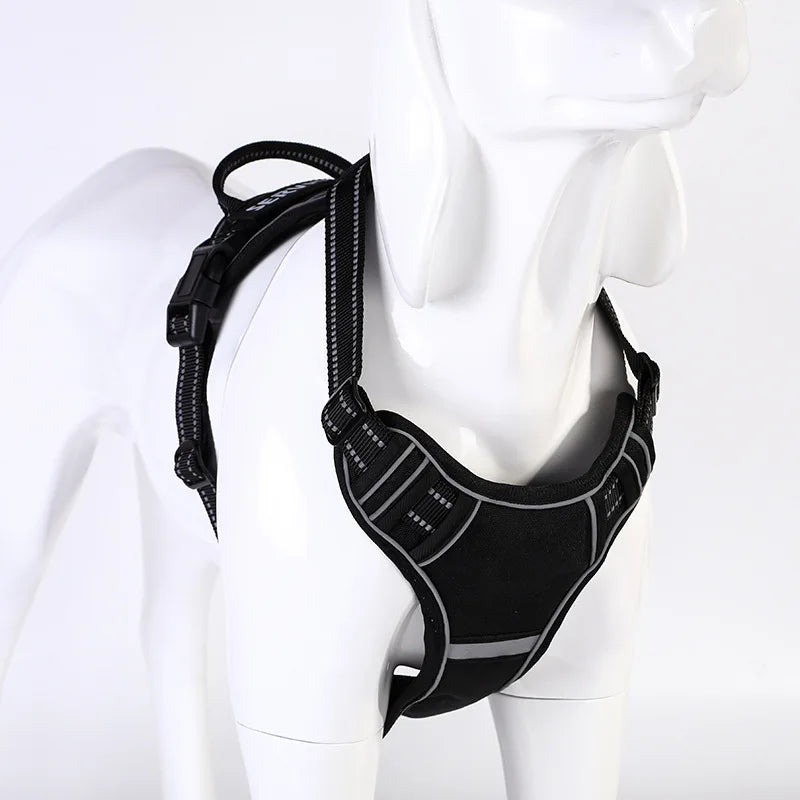 Y-Shape Personalised Harness