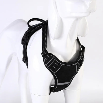 Y-Shape Personalised Harness