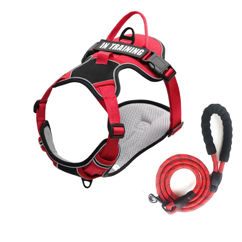 PawFit Personalised Harness