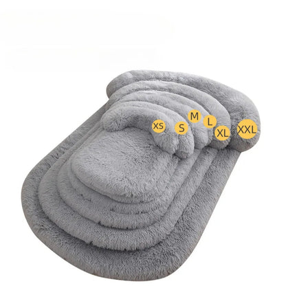 Premium CalmNest 2.0
