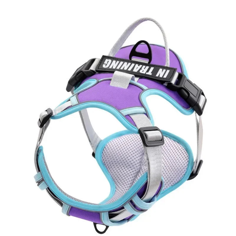 PawFit Personalised Harness