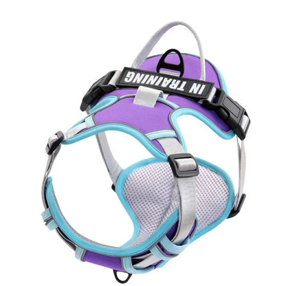 PawFit Personalised Harness