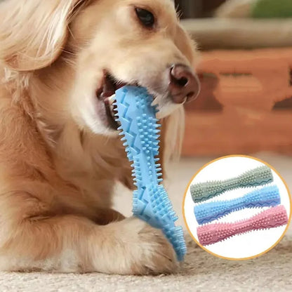 ChewJoy Dental Stick