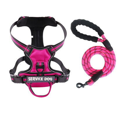Y-Shape Personalised Harness