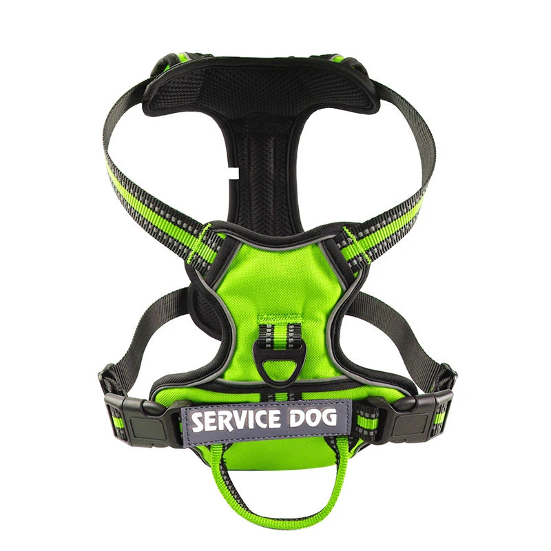 Y-Shape Personalised Harness