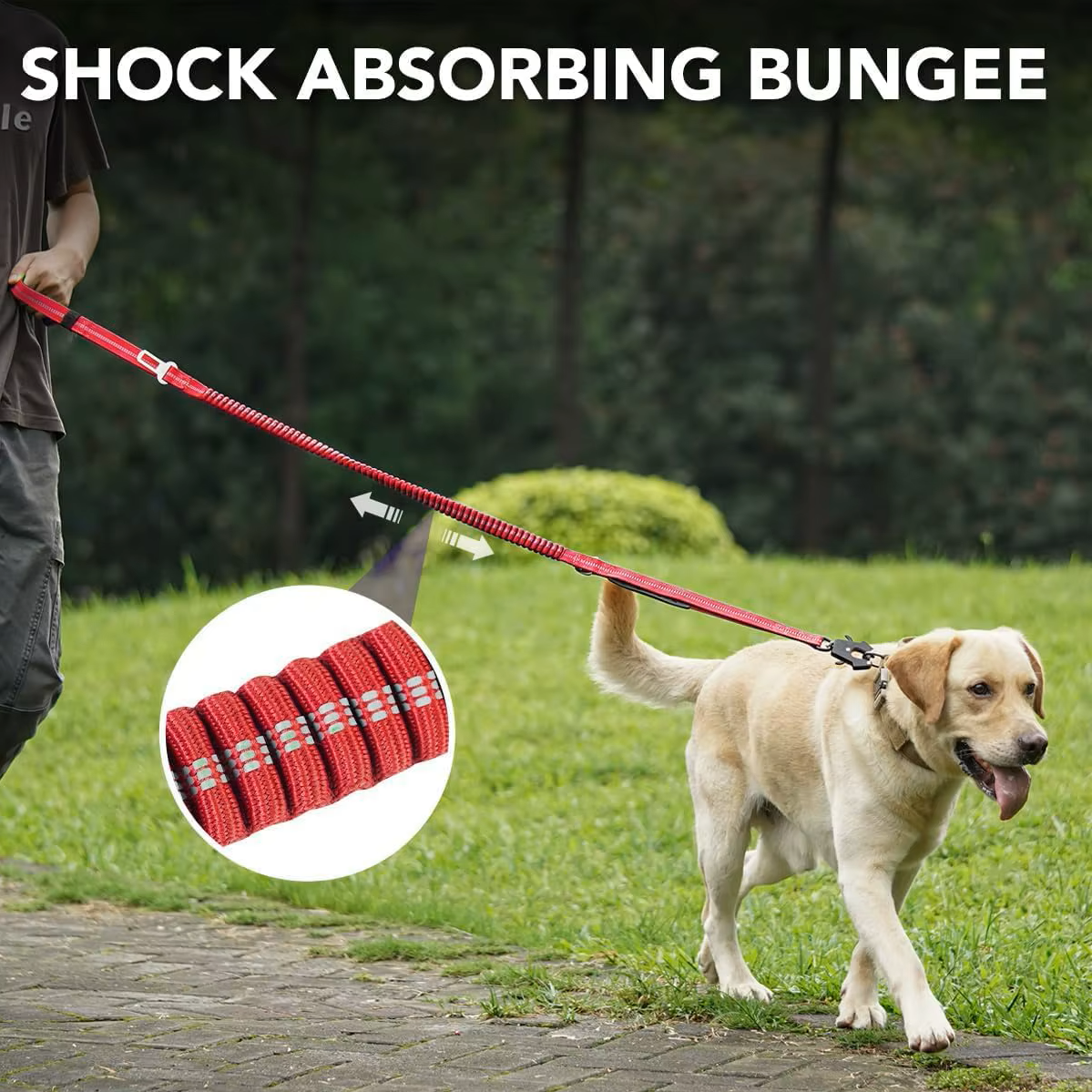 4-in-1 Dog Leash with Car Seat Belt