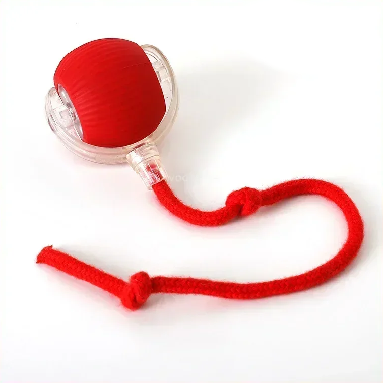 ChaseBuddy Smart Ball