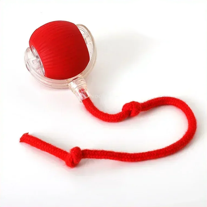 ChaseBuddy Smart Ball