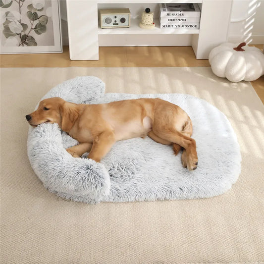 Premium CalmNest 2.0
