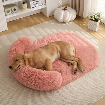 Premium CalmNest 2.0