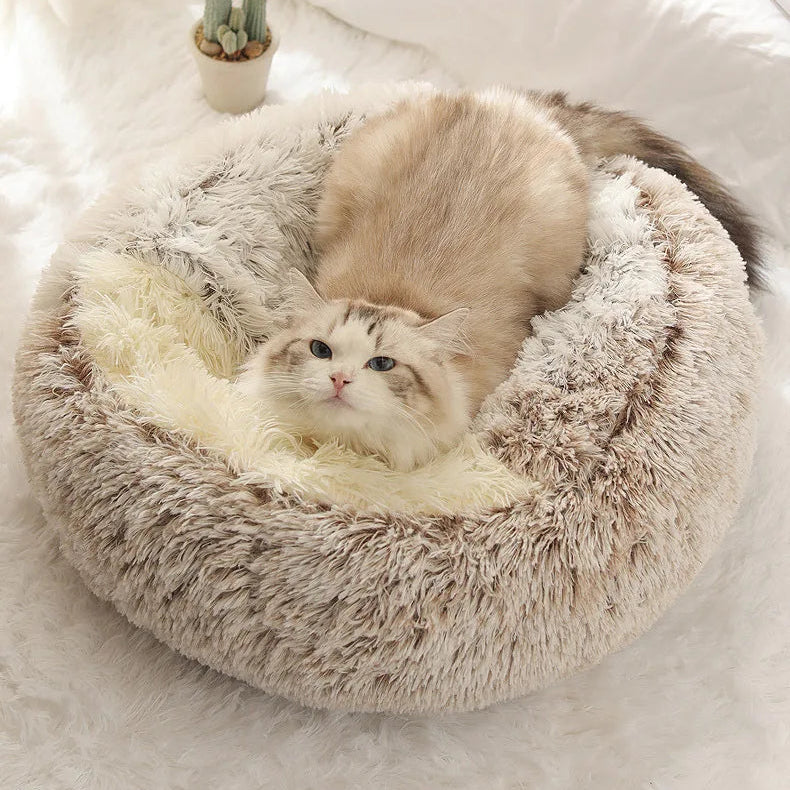 CoziNest