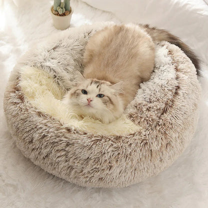 CoziNest