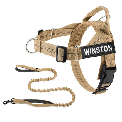 Personalized No-Pull Dog Harness