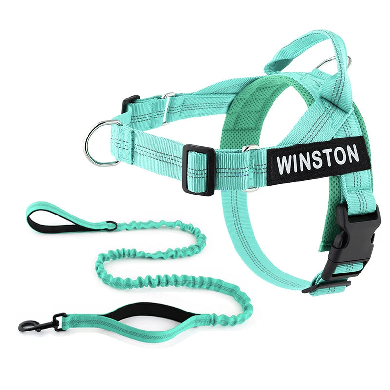 Personalized No-Pull Dog Harness