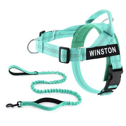 Personalized No-Pull Dog Harness
