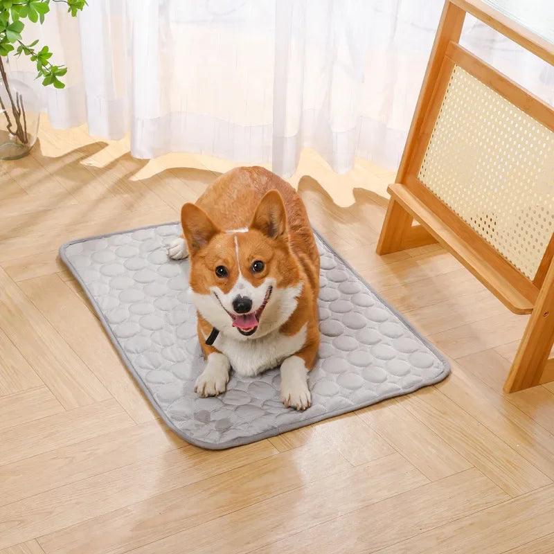 Chill Paws Cooling Mat