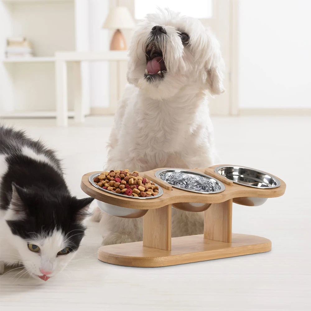 PawTilt Feeding Station