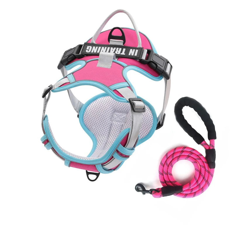PawFit Personalised Harness
