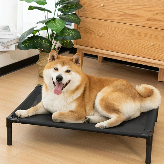 AirNest Pet Bed