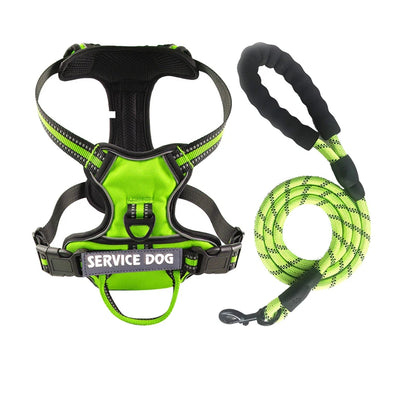 Y-Shape Personalised Harness