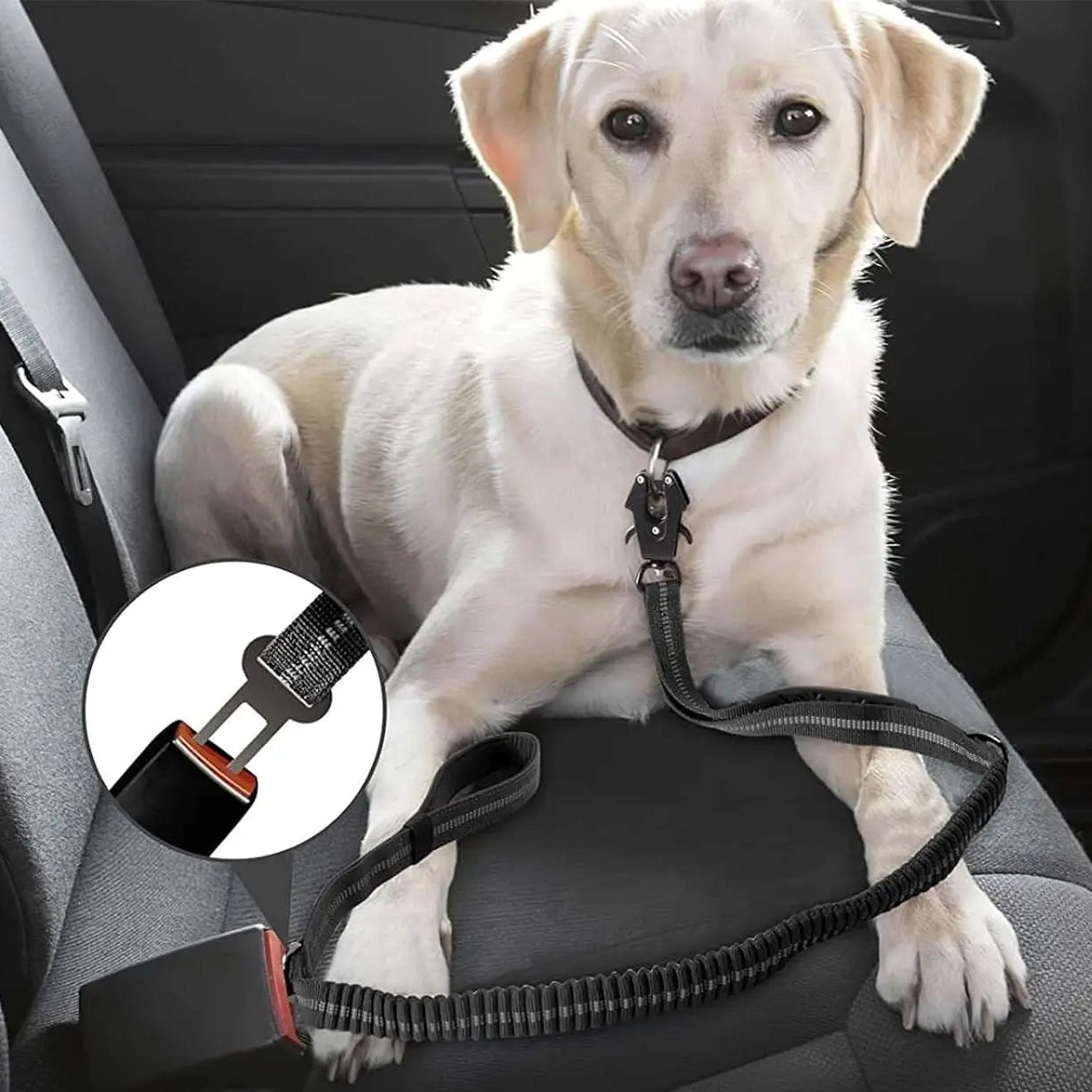 4-in-1 Dog Leash with Car Seat Belt