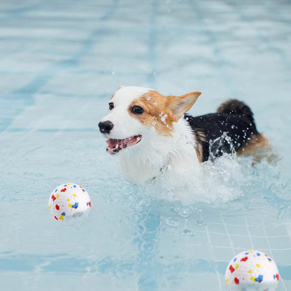BounceBite Dog Ball