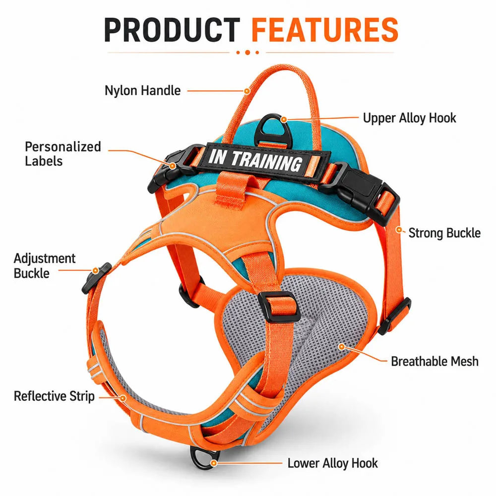 PawFit Personalised Harness