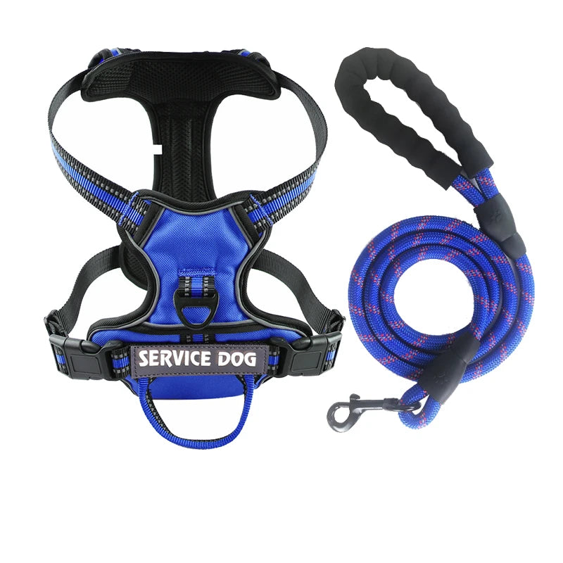 Y-Shape Personalised Harness