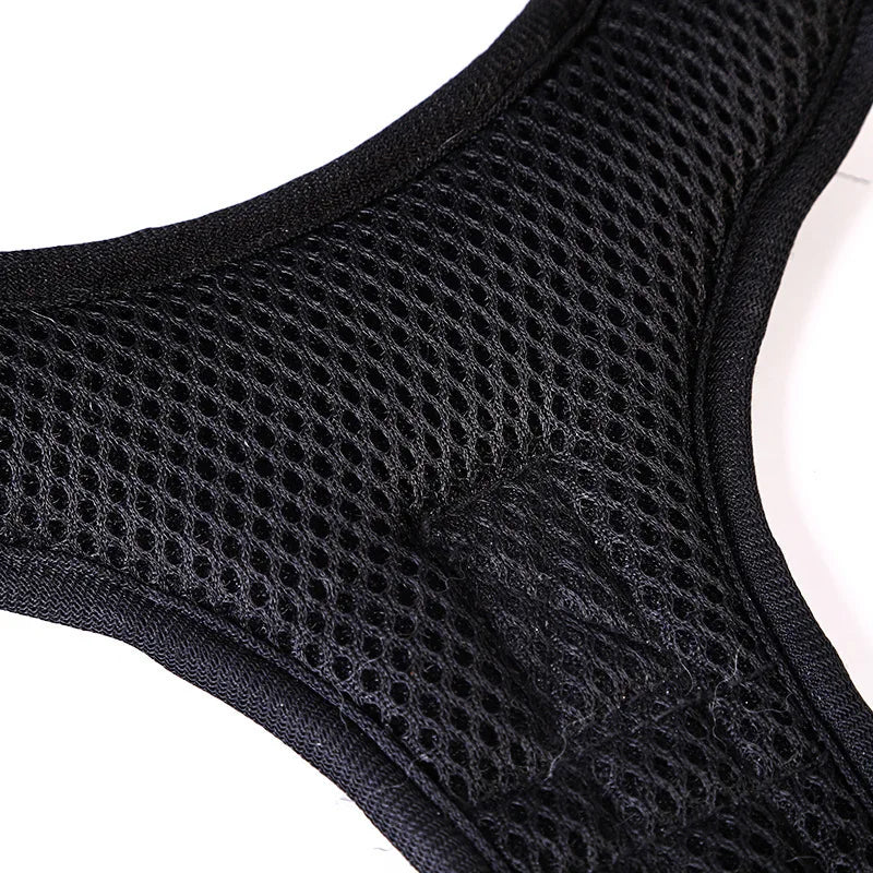 Y-Shape Personalised Harness