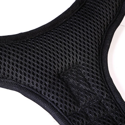 Y-Shape Personalised Harness