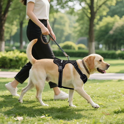 Y-Shape Personalised Harness