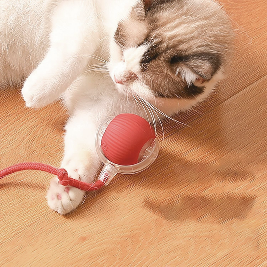 ChaseBuddy Smart Ball