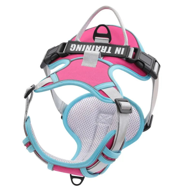 PawFit Personalised Harness