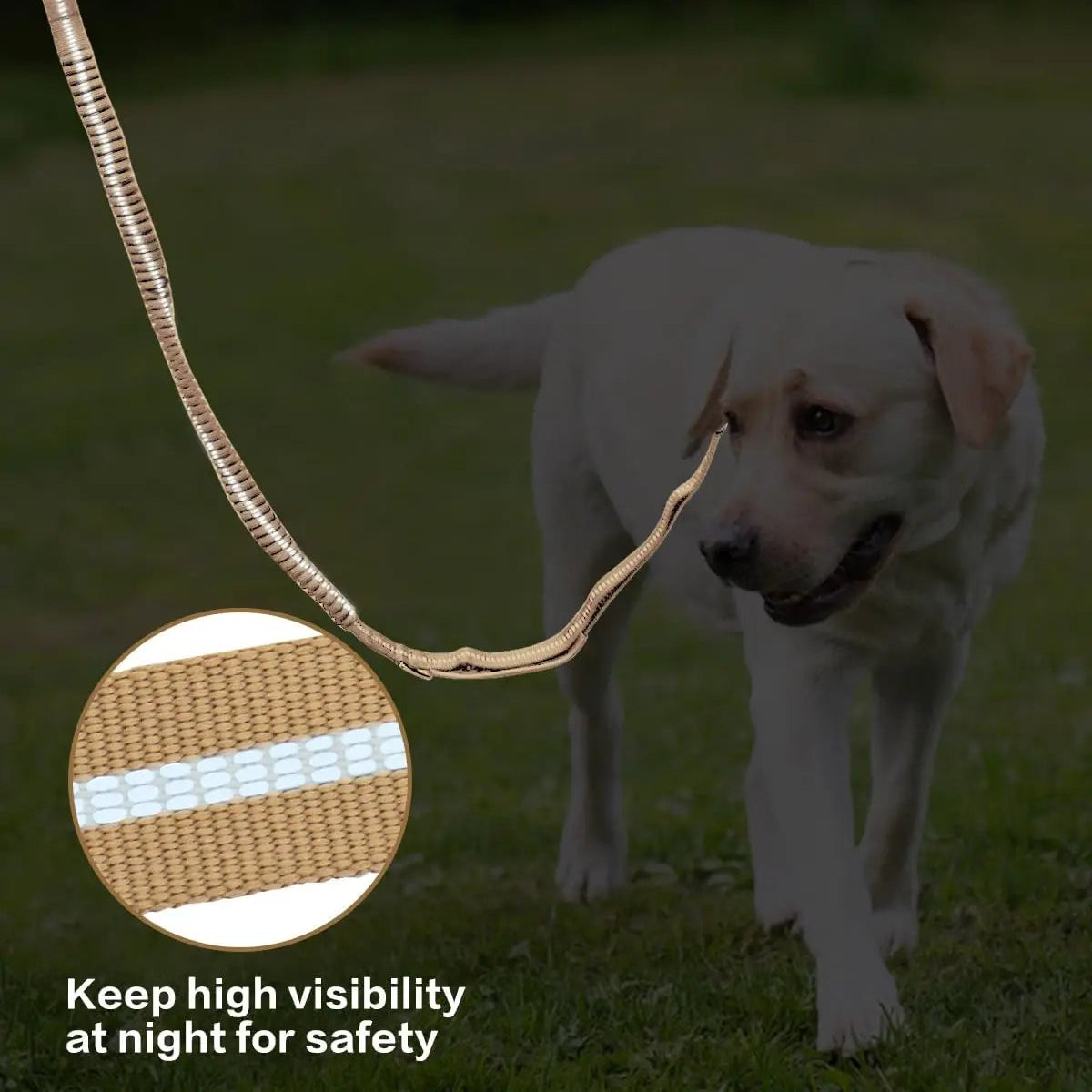 4-in-1 Dog Leash with Car Seat Belt