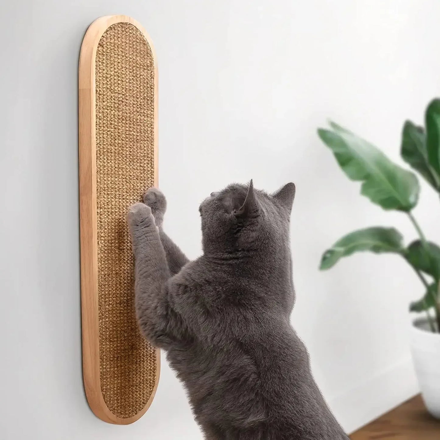 Scratch Pro Board