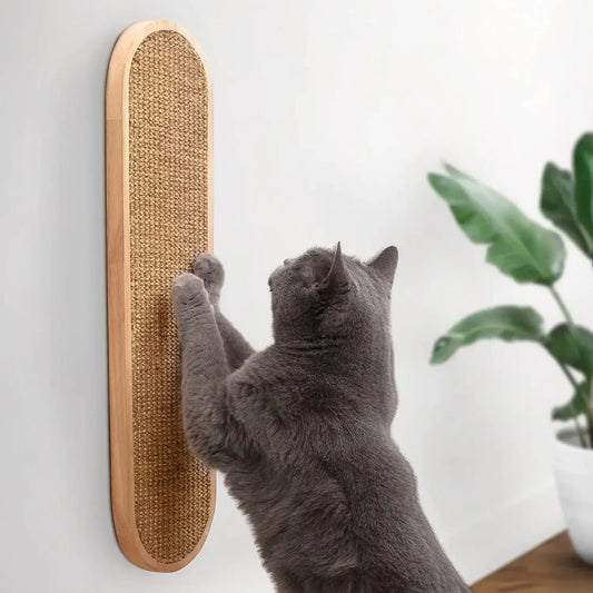 Scratch Pro Board