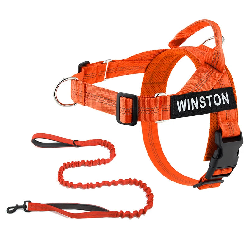 Personalized No-Pull Dog Harness