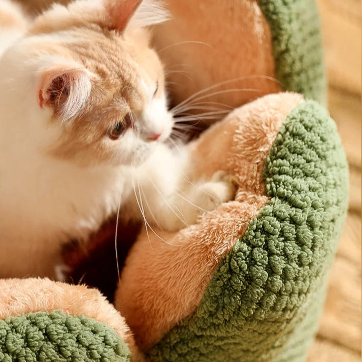 CozyBloom Cat Bed