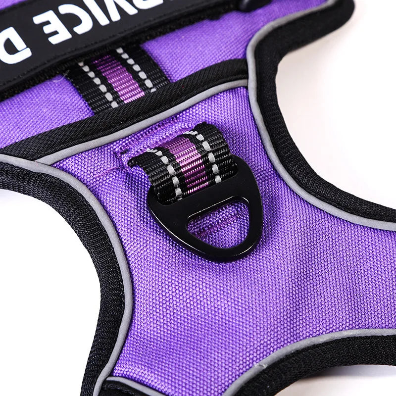 Y-Shape Personalised Harness