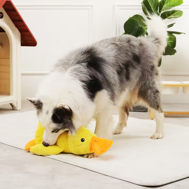 PlushDuckie Toy
