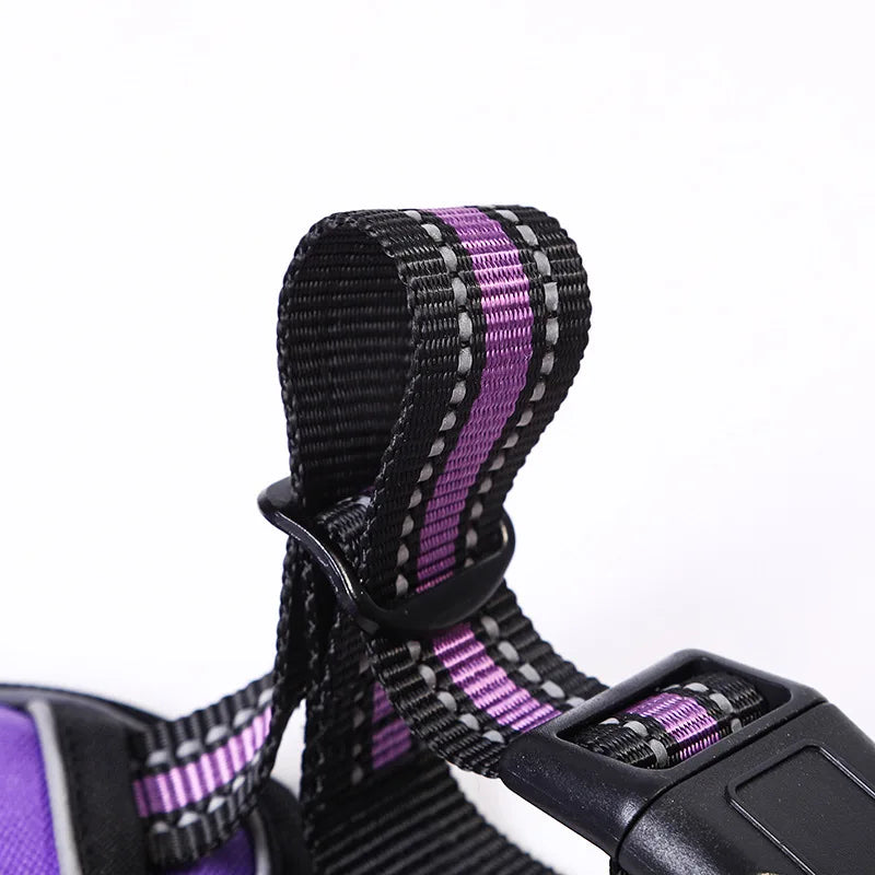 Y-Shape Personalised Harness