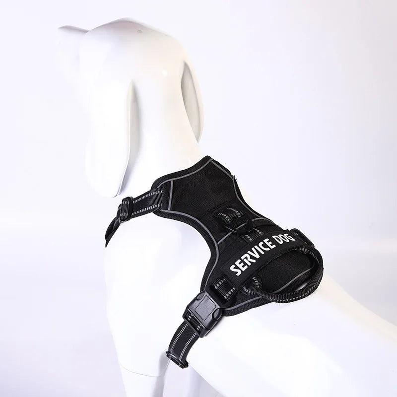 Y-Shape Personalised Harness