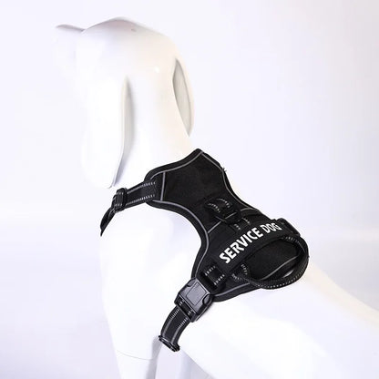 Y-Shape Personalised Harness
